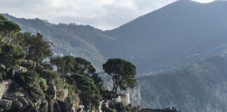 Ile kosztuje nowy Infiniti? Ile kosztuje nowy Infiniti?