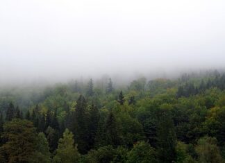 Jak zasłonić boki balkonu? Jak zasłonić boki balkonu?