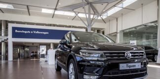 Co to znaczy Tiguan?
