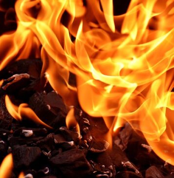 Jak stosować węgiel do kwiatów? Jak stosować węgiel do kwiatów?