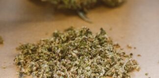 Jaki młynek do suszu wybrać – plastikowy, aluminiowy czy stalowy? młynek grinder