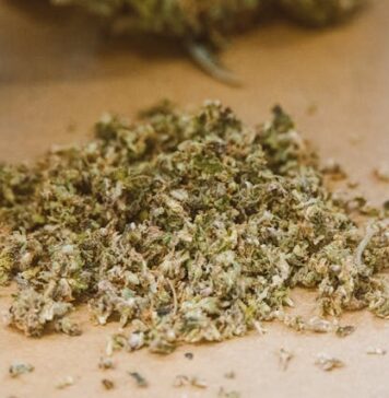 Jaki młynek do suszu wybrać – plastikowy, aluminiowy czy stalowy? młynek grinder